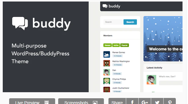 You are downloading Buddy: Simple WordPress & BuddyPress Theme whose current version has been getting more updates nowadays, so, please
