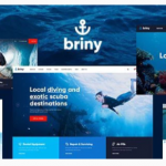 You are downloading Briny | Scuba Diving School & Water Sports WordPress Theme Nulled whose current version has been getting more updates nowadays,