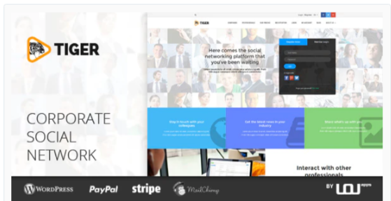 You are downloading TIGER – Social Network Theme for Companies & Professionals Nulled whose current version has been getting more updates nowadays